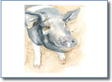 Illustration Example