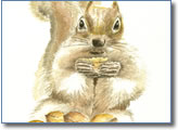 Illustration Example